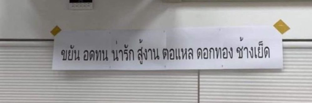 Wokeas banner