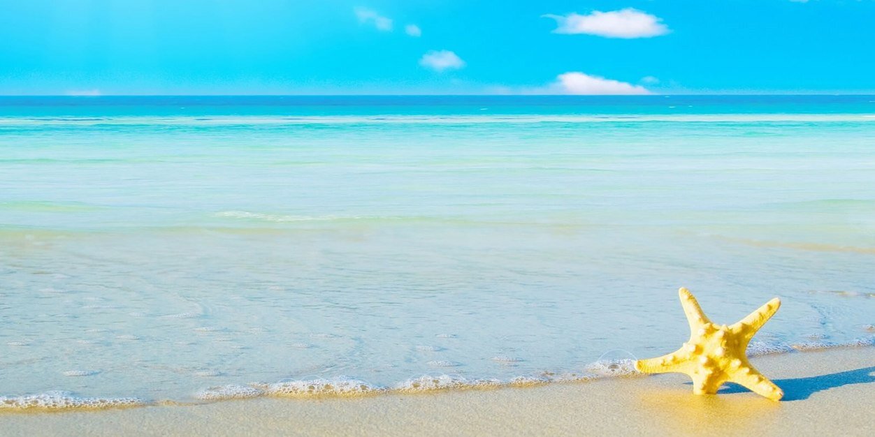 alexadream13's profile banner image