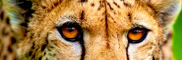 kklein1977's profile banner image