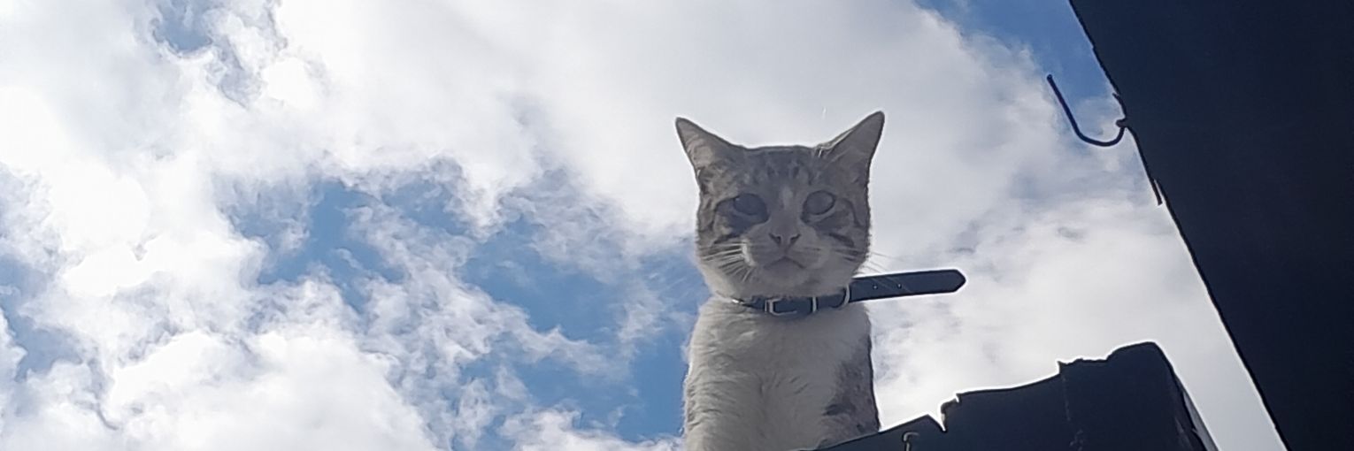 ݁ +52! ⋆XM3NA | 23/03 | ˖☆ banner