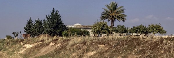 avaz1283 Profile Banner