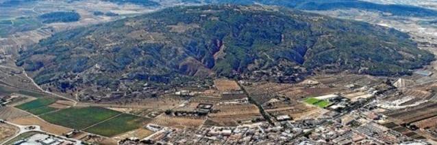 Iván Román (Pinoso)ن banner