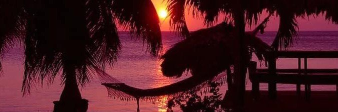 Bill E banner
