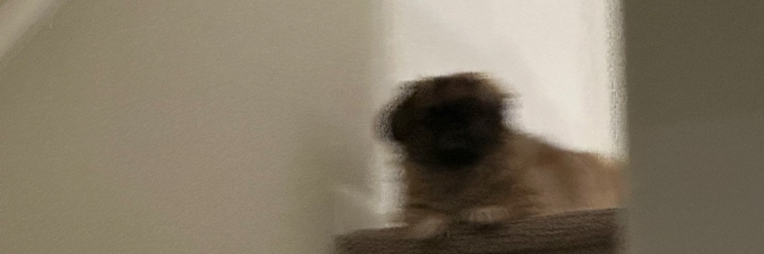 buns banner