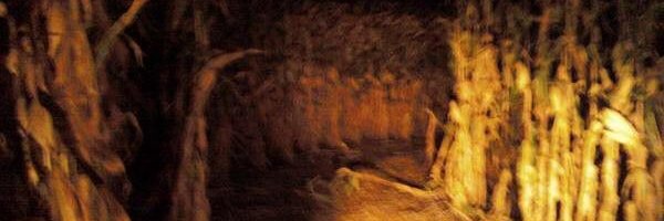 RUST's banner