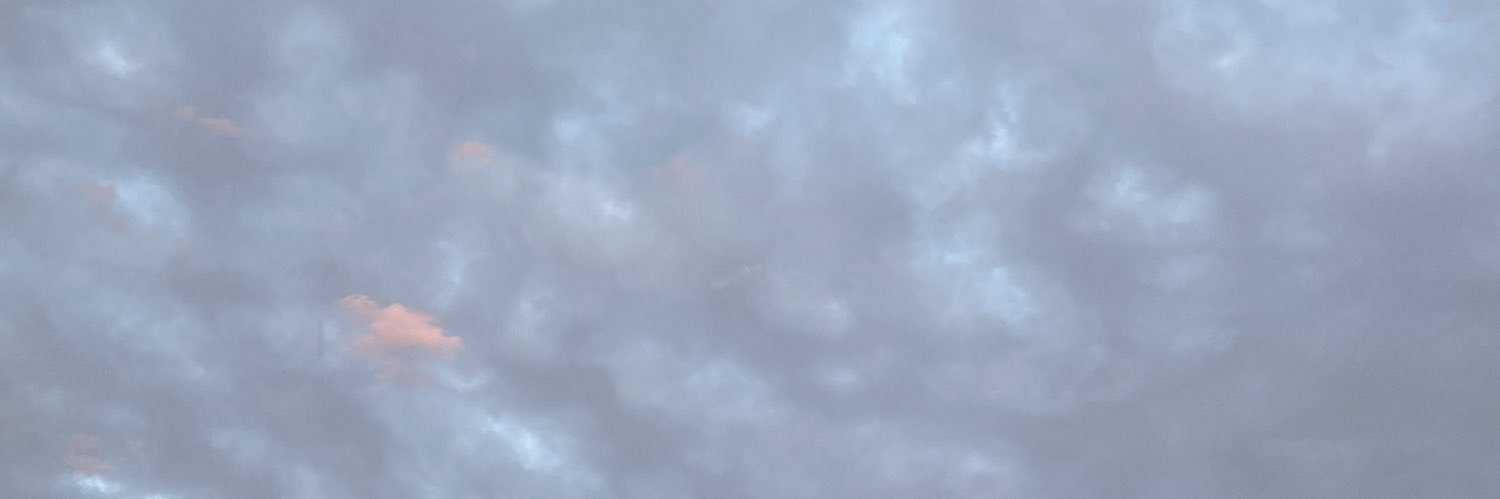 DNikaV's profile banner image
