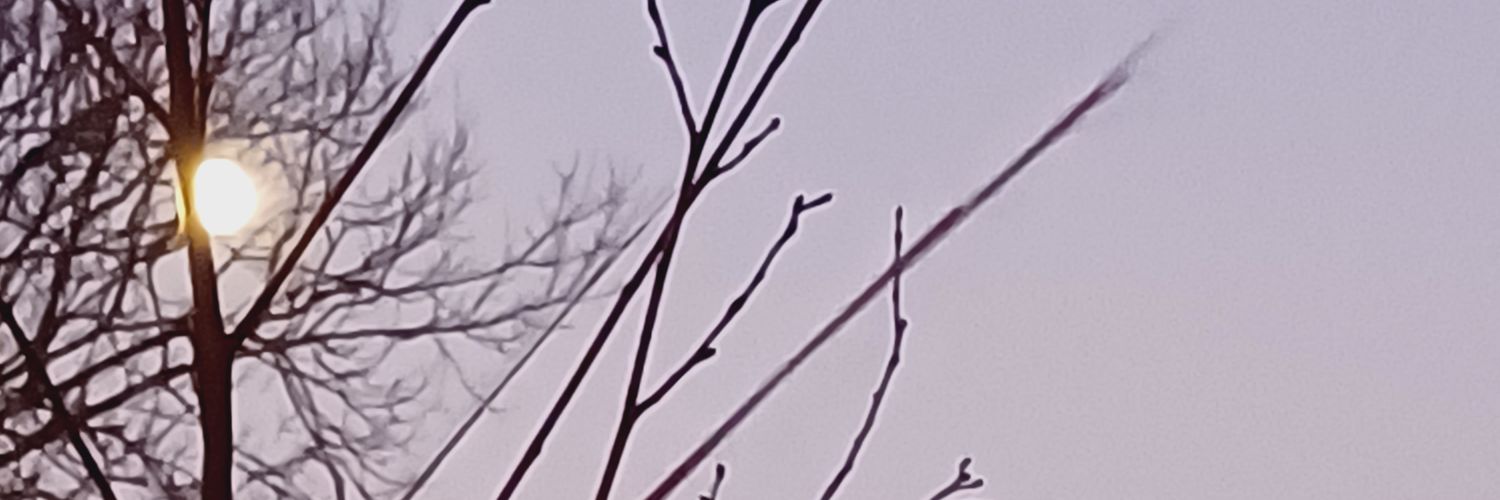 hshmcf1's profile banner image