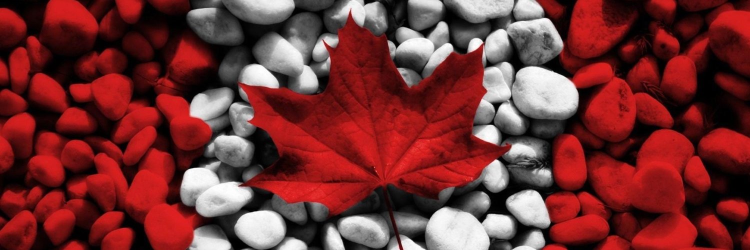Healthcanadat's profile banner image
