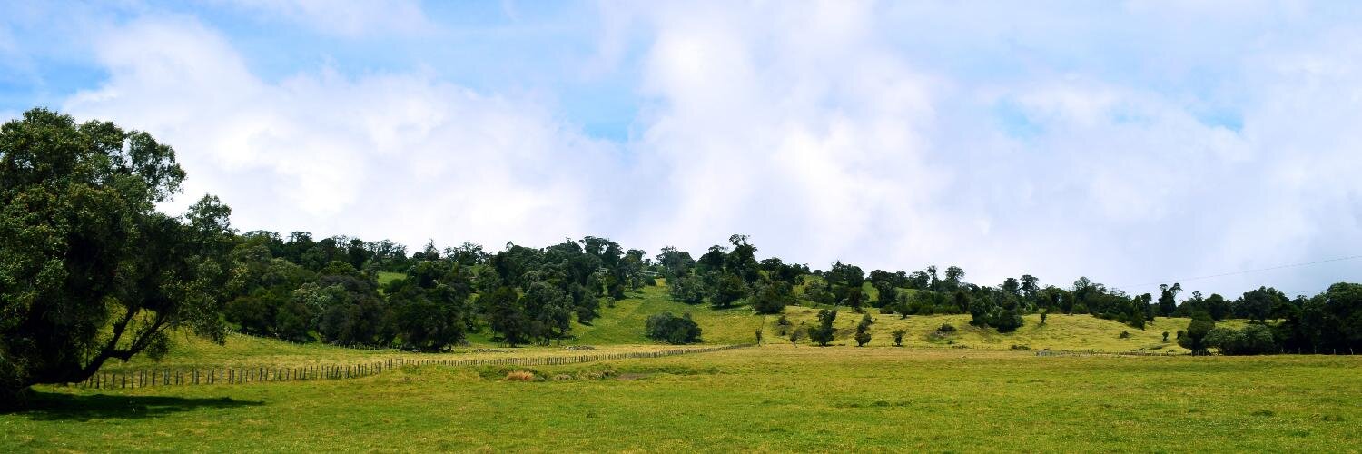OskrM's profile banner image