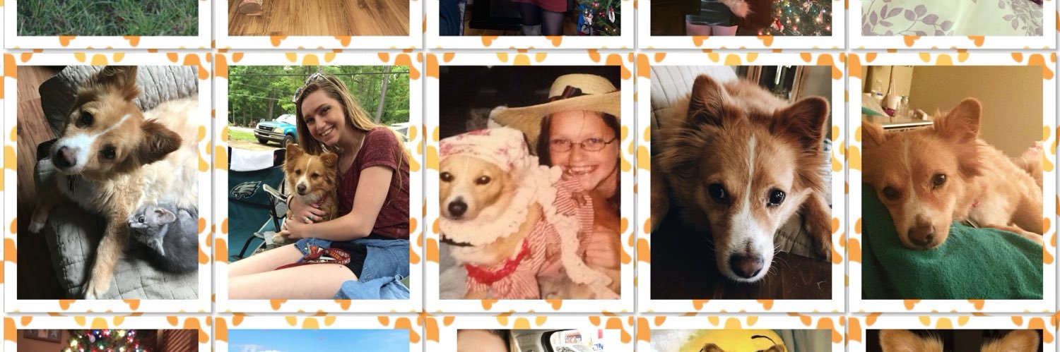 RachelleESnyder's profile banner image