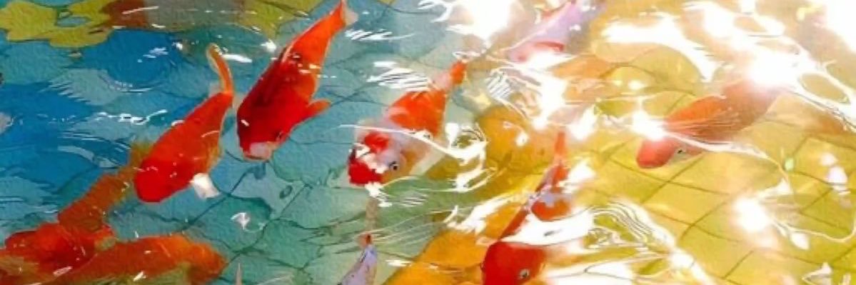 dawn (dish soap) banner