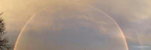 mogutan_com Profile Banner