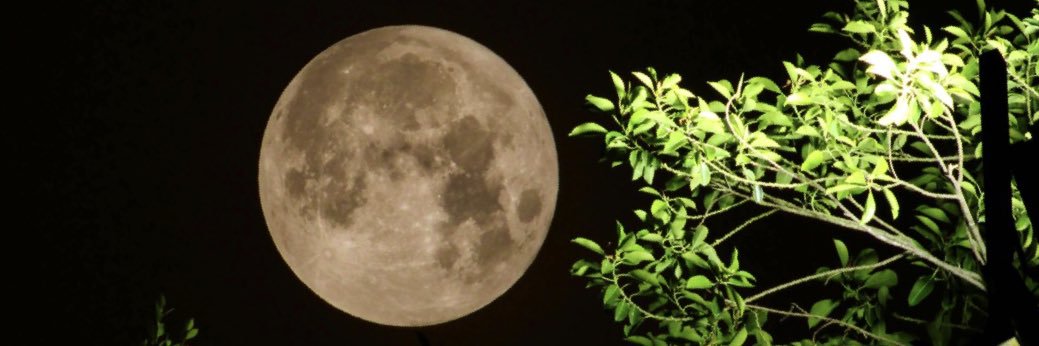 𓆩✧𓆪 Drew 𓆩✧𓆪 banner