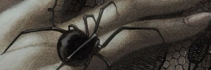 Rae 🖤 banner