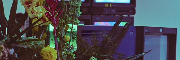 bbasulbot Profile Banner
