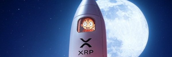 NoobCrypto0 Profile Banner
