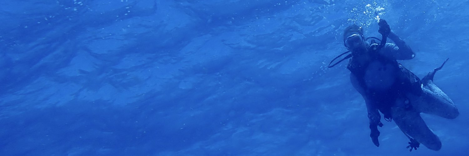 Carl Bleaching banner