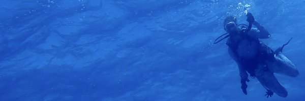 CeliaLeto Profile Banner