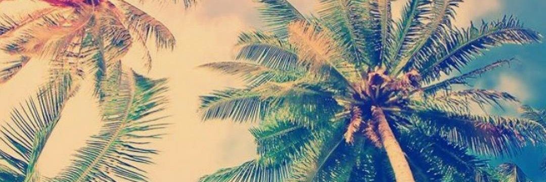 Casteels_'s profile banner image