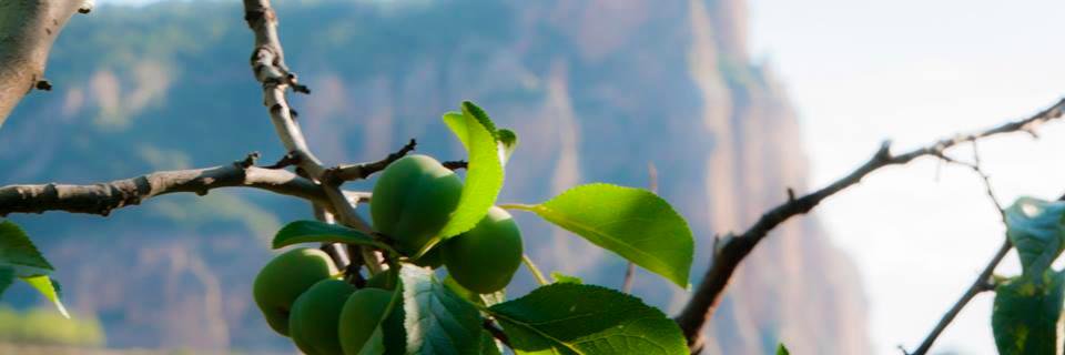 PanalNalda's profile banner image