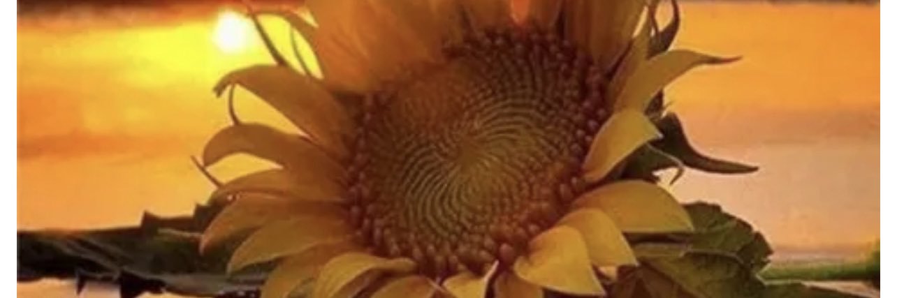sandraeyars26's profile banner image