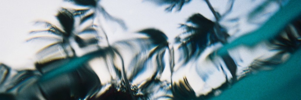 Albane_Chaar's profile banner image