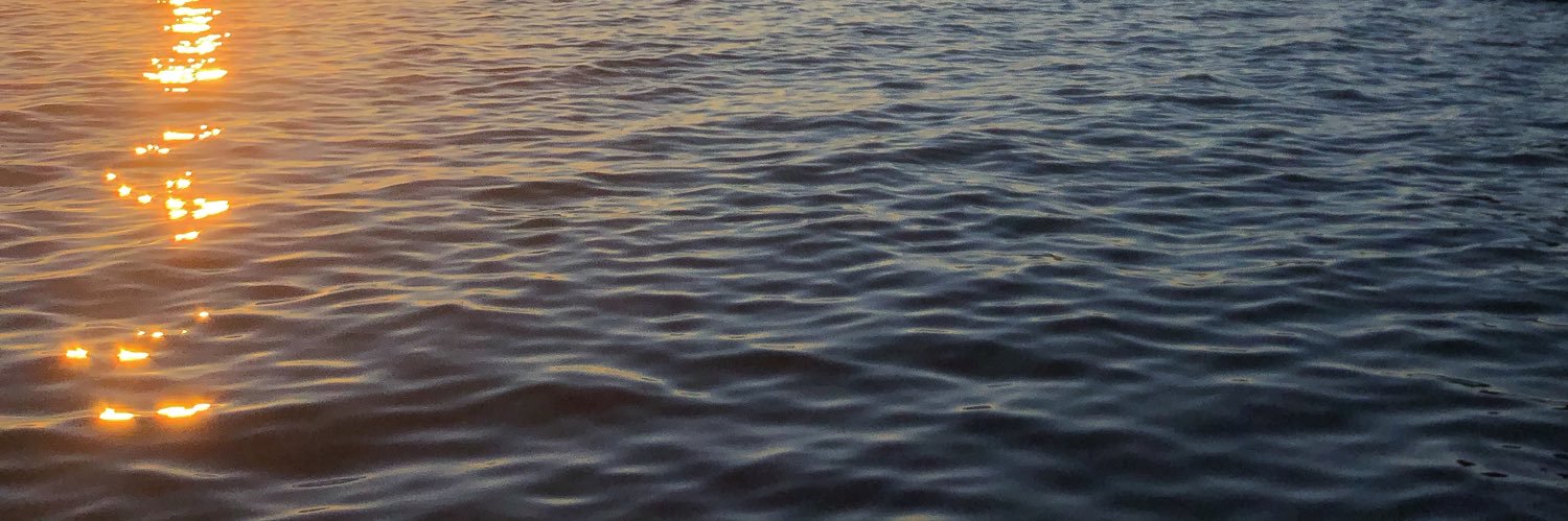 ritika ✨ banner