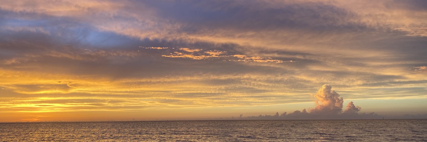 fmaa397's profile banner image