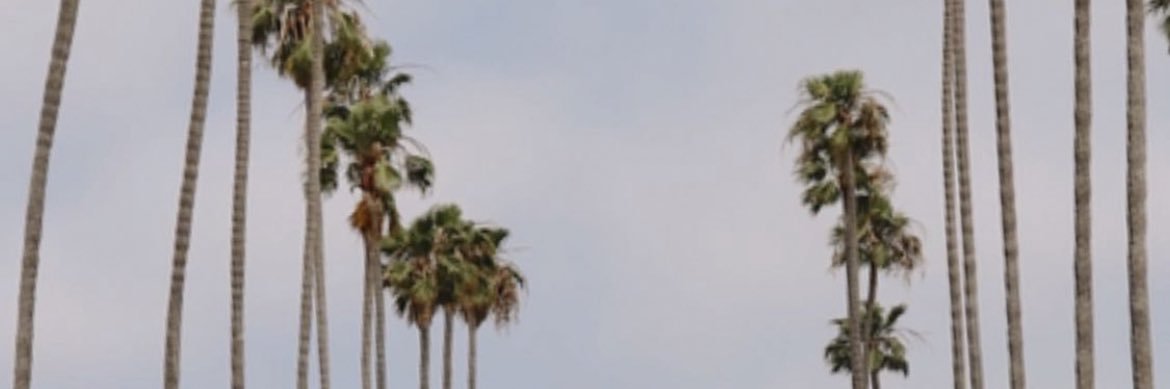 KJ banner