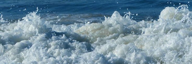 FishieBrain🐚's banner