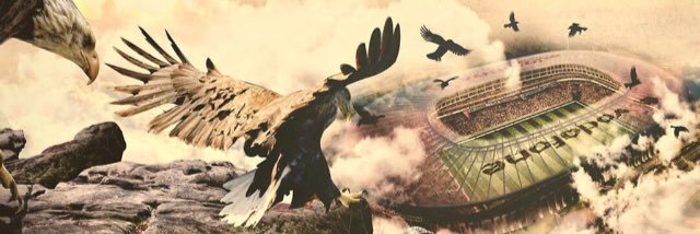 brsarat's profile banner image