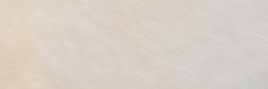 コケ田's banner