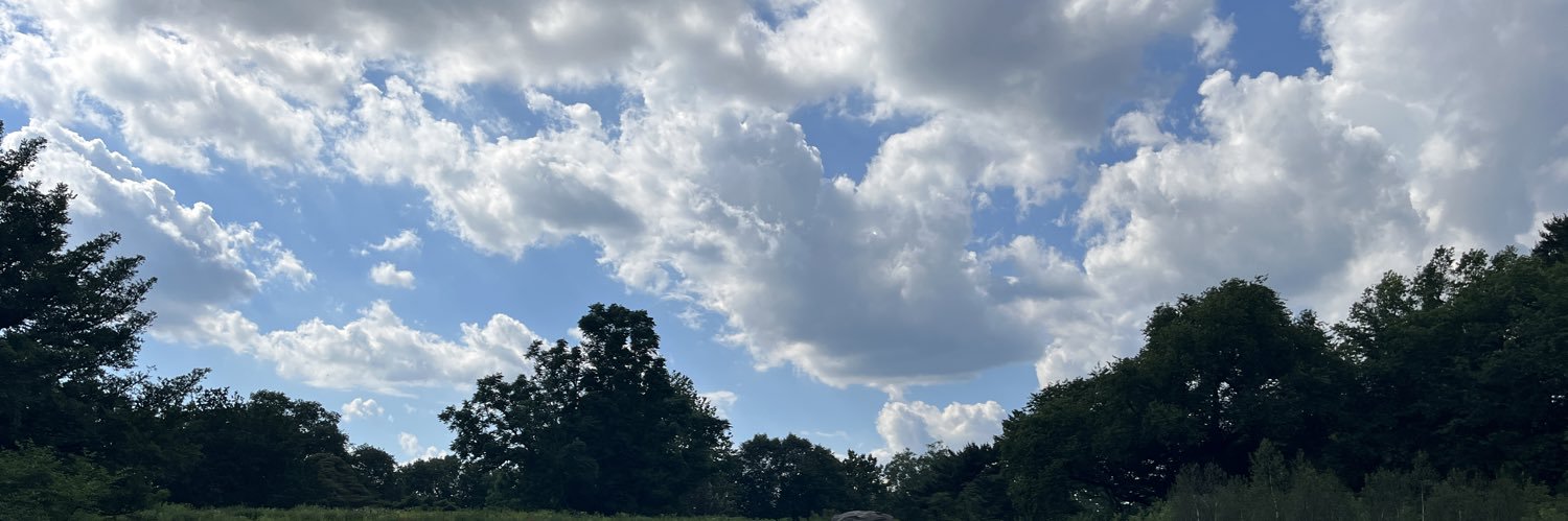 mayybemilyy's profile banner image