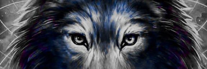 L0B0X's profile banner image