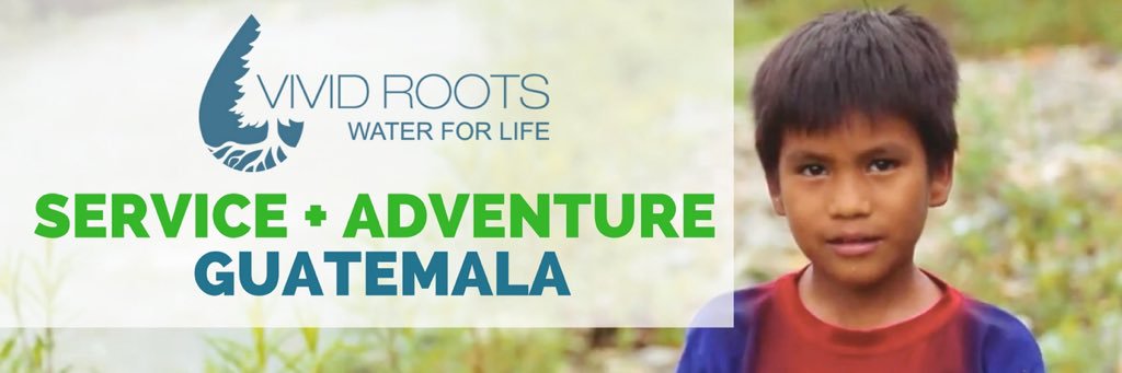 Vivid Roots banner