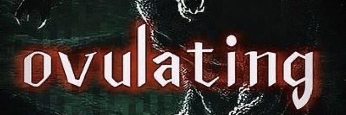 🕷️ banner
