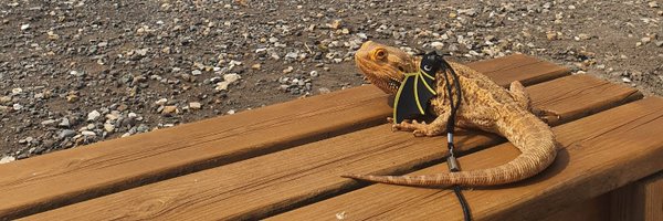 upcloseexotics Profile Banner