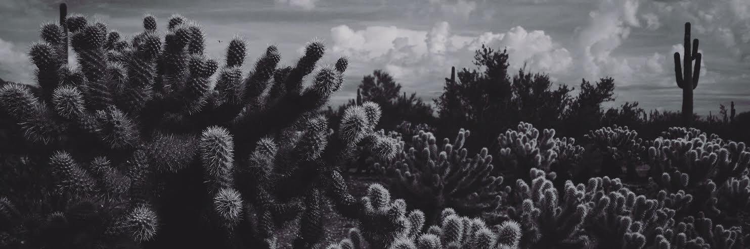 digitaljustine's profile banner image