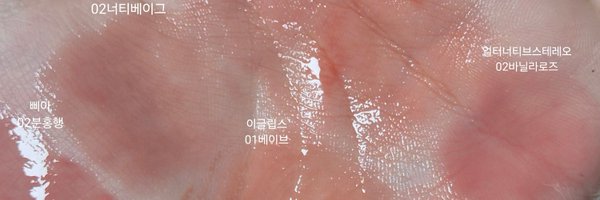 eopichi28623 Profile Banner