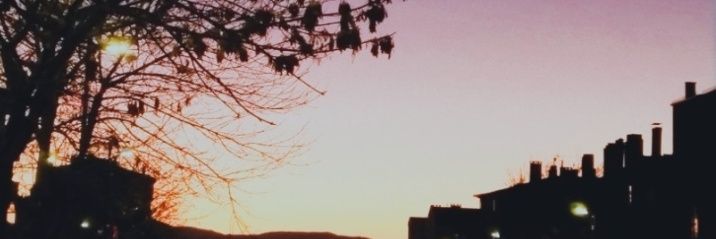 gunes banner