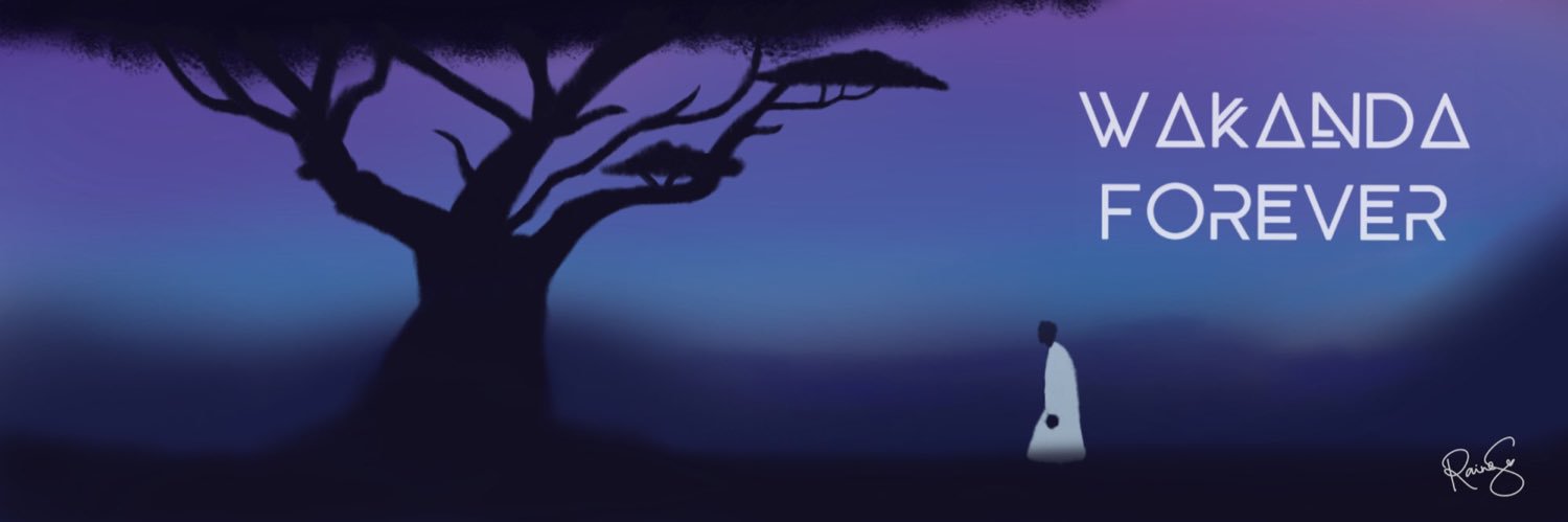 clemsstanley's profile banner image