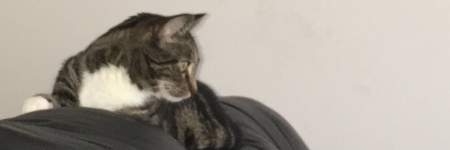 billrakow's profile banner image