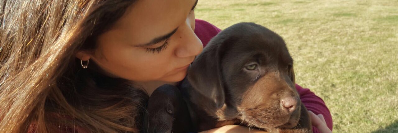 sofifraresso's profile banner image