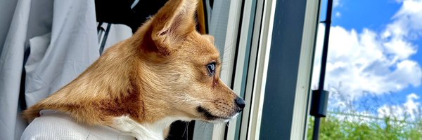 nc_camx Profile Banner