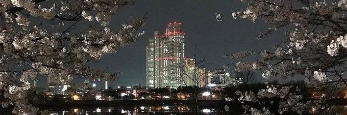 ちよ banner