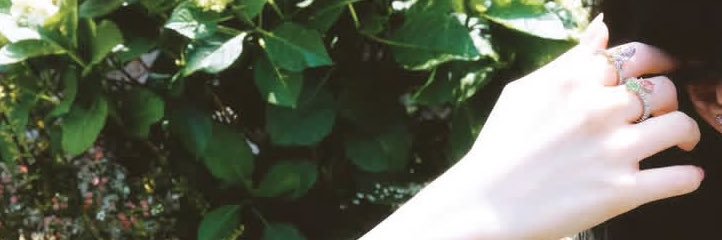 ⋆𐙚 Kim. banner