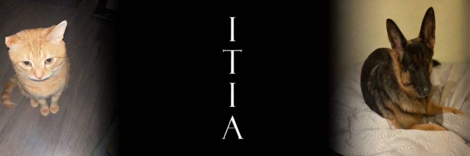 Nirvan 🟥🟩 banner