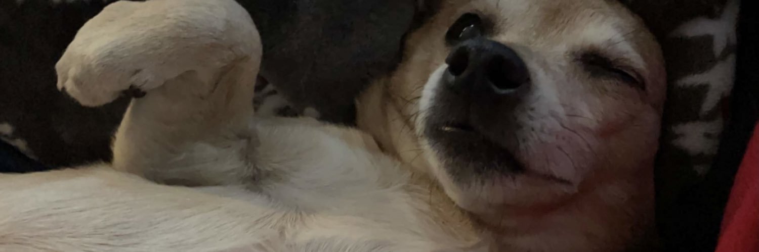 estefmcan's profile banner image