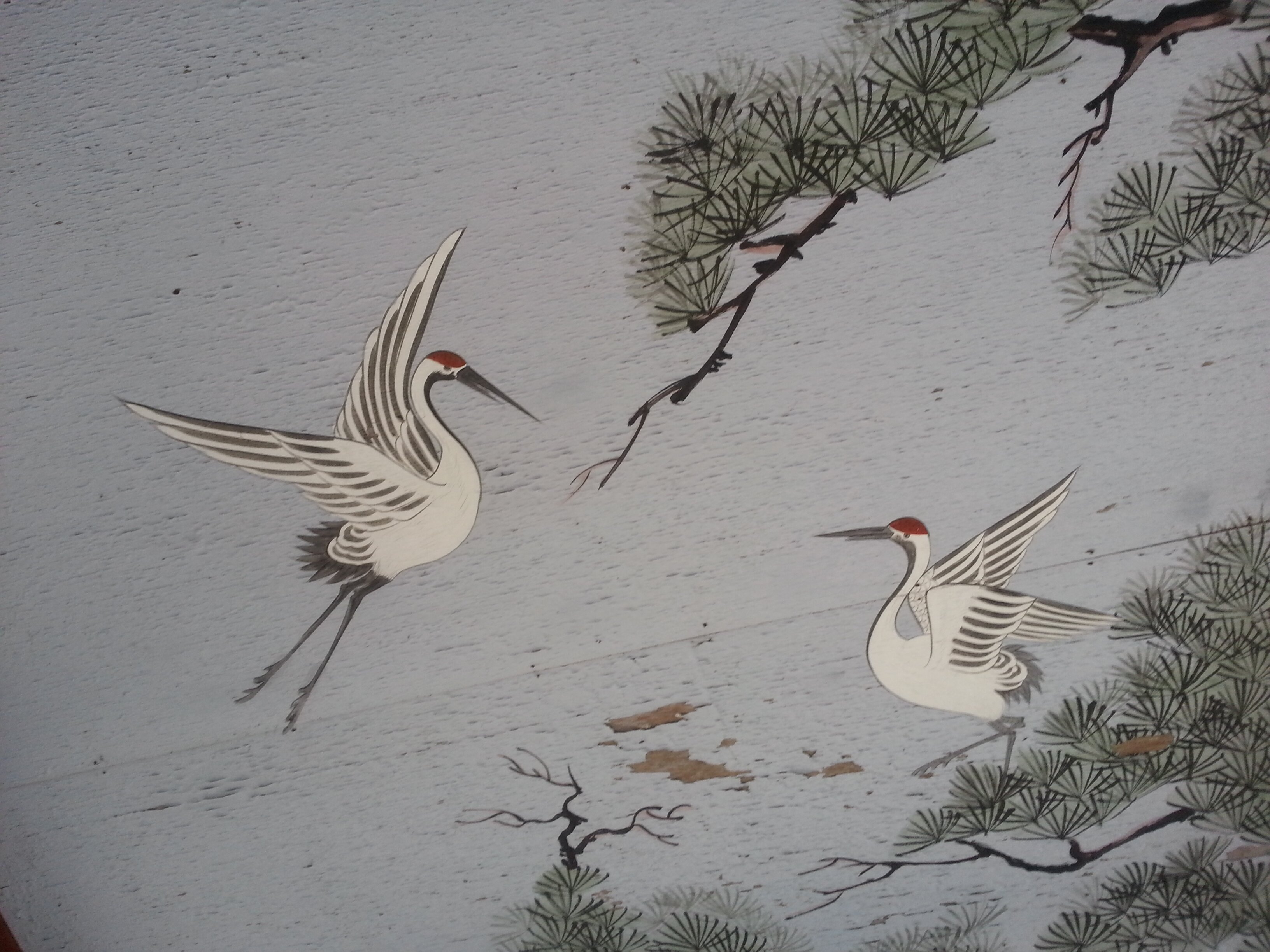 heron60's profile banner image
