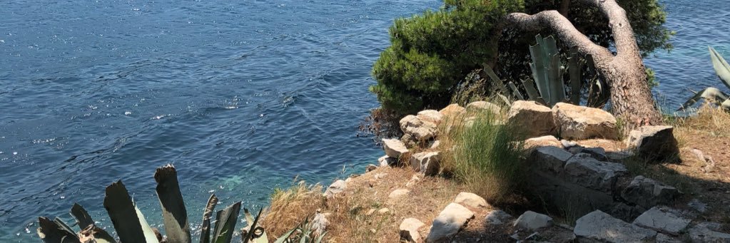 Chastity Rohan banner